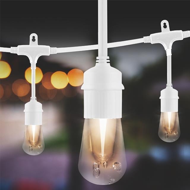 Rental store for CAFE LIGHTS, 25 in West Bend WI